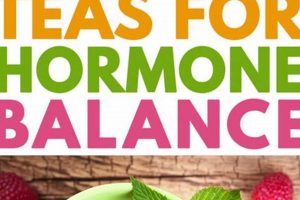 Best Herbal Tea for Hormone Balance: Your Guide + Recipes Safem Fabrication - Precision Engineering & Custom Manufacturing Solutions Best Herbal Tea for Hormone Balance: Your Guide + Recipes | Safem Fabrication - Precision Engineering & Custom Manufacturing Solutions