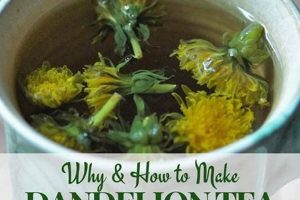 Best Dandelion Herbal Tea: Benefits & Uses Safem Fabrication - Precision Engineering & Custom Manufacturing Solutions Best Dandelion Herbal Tea: Benefits & Uses | Safem Fabrication - Precision Engineering & Custom Manufacturing Solutions