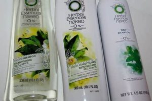 Best Herbal Essences Reviews: Find the Perfect Product! Safem Fabrication - Precision Engineering & Custom Manufacturing Solutions Best Herbal Essences Reviews: Find the Perfect Product! | Safem Fabrication - Precision Engineering & Custom Manufacturing Solutions