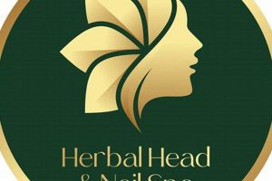 Find: Herbal Head Spa Near Me For Scalp Relief Safem Fabrication - Precision Engineering & Custom Manufacturing Solutions Find: Herbal Head Spa Near Me For Scalp Relief | Safem Fabrication - Precision Engineering & Custom Manufacturing Solutions