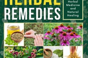 Your Herbal Book of Remedies: Natural Healing Guide Safem Fabrication - Precision Engineering & Custom Manufacturing Solutions Your Herbal Book of Remedies: Natural Healing Guide | Safem Fabrication - Precision Engineering & Custom Manufacturing Solutions