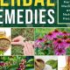 Your Herbal Book of Remedies: Natural Healing Guide | The Ultimate Herbal Remedies Guide: Natural Healing for a Healthier Life