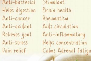 Unlock Rosemary Herbal Benefits: Your Complete Guide Safem Fabrication - Precision Engineering & Custom Manufacturing Solutions Unlock Rosemary Herbal Benefits: Your Complete Guide | Safem Fabrication - Precision Engineering & Custom Manufacturing Solutions