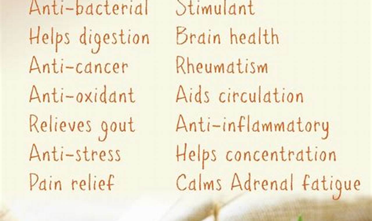 Unlock Rosemary Herbal Benefits: Your Complete Guide | Safem Fabrication - Precision Engineering & Custom Manufacturing Solutions