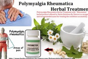 Natural Polymyalgia Rheumatica Herbal Treatment Options Safem Fabrication - Precision Engineering & Custom Manufacturing Solutions Natural Polymyalgia Rheumatica Herbal Treatment Options | Safem Fabrication - Precision Engineering & Custom Manufacturing Solutions