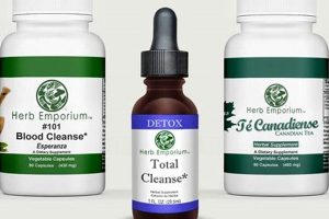Complete Total Herbal Cleanse Guide for You! Safem Fabrication - Precision Engineering & Custom Manufacturing Solutions Complete Total Herbal Cleanse Guide for You! | Safem Fabrication - Precision Engineering & Custom Manufacturing Solutions