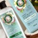 Shop Coco Herbal Essences - Nature's Essence Boost | The Ultimate Herbal Remedies Guide: Natural Healing for a Healthier Life
