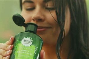 Revive Hair: Herbal Essence Shampoo Commercial Magic + Tips Safem Fabrication - Precision Engineering & Custom Manufacturing Solutions Revive Hair: Herbal Essence Shampoo Commercial Magic + Tips | Safem Fabrication - Precision Engineering & Custom Manufacturing Solutions