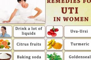 Best Herbal UTI Remedy: Relief + Prevention Tips Safem Fabrication - Precision Engineering & Custom Manufacturing Solutions Best Herbal UTI Remedy: Relief + Prevention Tips | Safem Fabrication - Precision Engineering & Custom Manufacturing Solutions