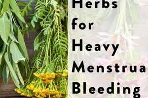 Natural Aid: Herbal Remedies for Heavy Periods Relief Safem Fabrication - Precision Engineering & Custom Manufacturing Solutions Natural Aid: Herbal Remedies for Heavy Periods Relief | Safem Fabrication - Precision Engineering & Custom Manufacturing Solutions