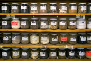 Find Local Herbal Stores Chicago: Your Guide + More Safem Fabrication - Precision Engineering & Custom Manufacturing Solutions Find Local Herbal Stores Chicago: Your Guide + More | Safem Fabrication - Precision Engineering & Custom Manufacturing Solutions