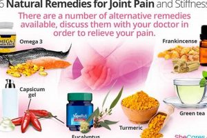 Natural Herbal Remedies for Joint Pain Relief Safem Fabrication - Precision Engineering & Custom Manufacturing Solutions Natural Herbal Remedies for Joint Pain Relief | Safem Fabrication - Precision Engineering & Custom Manufacturing Solutions