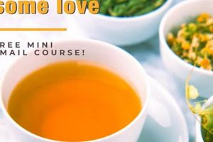 Boost Lung Health: Herbal Tea Remedies Safem Fabrication - Precision Engineering & Custom Manufacturing Solutions Boost Lung Health: Herbal Tea Remedies | Safem Fabrication - Precision Engineering & Custom Manufacturing Solutions