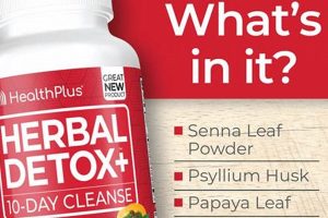 Natural Herbal Cleansing Detox Guide & Benefits Safem Fabrication - Precision Engineering & Custom Manufacturing Solutions Natural Herbal Cleansing Detox Guide & Benefits | Safem Fabrication - Precision Engineering & Custom Manufacturing Solutions