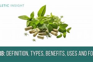 Natural Herbal Means: Health & Wellness Boost Safem Fabrication - Precision Engineering & Custom Manufacturing Solutions Natural Herbal Means: Health & Wellness Boost | Safem Fabrication - Precision Engineering & Custom Manufacturing Solutions