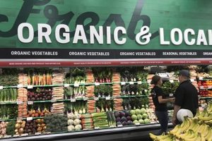 Shop Herbal Grocery Stores Near You: Herbs & More Safem Fabrication - Precision Engineering & Custom Manufacturing Solutions Shop Herbal Grocery Stores Near You: Herbs & More | Safem Fabrication - Precision Engineering & Custom Manufacturing Solutions
