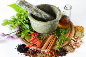 Licensing Herbal Medicine: Do You Need a License to Sell? Safem Fabrication - Precision Engineering & Custom Manufacturing Solutions Licensing Herbal Medicine: Do You Need a License to Sell? | Safem Fabrication - Precision Engineering & Custom Manufacturing Solutions