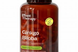 Boost Memory: Ginkgo Herbal Supplement Benefits Safem Fabrication - Precision Engineering & Custom Manufacturing Solutions Boost Memory: Ginkgo Herbal Supplement Benefits | Safem Fabrication - Precision Engineering & Custom Manufacturing Solutions