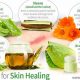Best Herbal Remedies for Wound Healing: A Natural Guide | The Ultimate Herbal Remedies Guide: Natural Healing for a Healthier Life