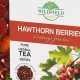 Discover Hawthorn Herbal Tea: Benefits & Uses + | Safem Fabrication - Precision Engineering & Custom Manufacturing Solutions