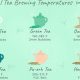 Herbal Tea Water Temp Guide: Perfect Brews | The Ultimate Herbal Remedies Guide: Natural Healing for a Healthier Life