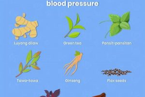 Natural High Blood Herbal Help: Lower Pressure Now! The Ultimate Herbal Remedies Guide: Natural Healing for a Healthier Life Natural High Blood Herbal Help: Lower Pressure Now! | The Ultimate Herbal Remedies Guide: Natural Healing for a Healthier Life