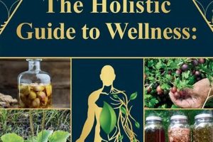 Herbals: Wellness Herbal Protocols Guide + Ailment Relief Safem Fabrication - Precision Engineering & Custom Manufacturing Solutions Herbals: Wellness Herbal Protocols Guide + Ailment Relief | Safem Fabrication - Precision Engineering & Custom Manufacturing Solutions