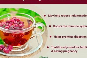 Unlock Raspberry Herbal Tea Benefits: A Guide + More! The Ultimate Herbal Remedies Guide: Natural Healing for a Healthier Life Unlock Raspberry Herbal Tea Benefits: A Guide + More! | The Ultimate Herbal Remedies Guide: Natural Healing for a Healthier Life