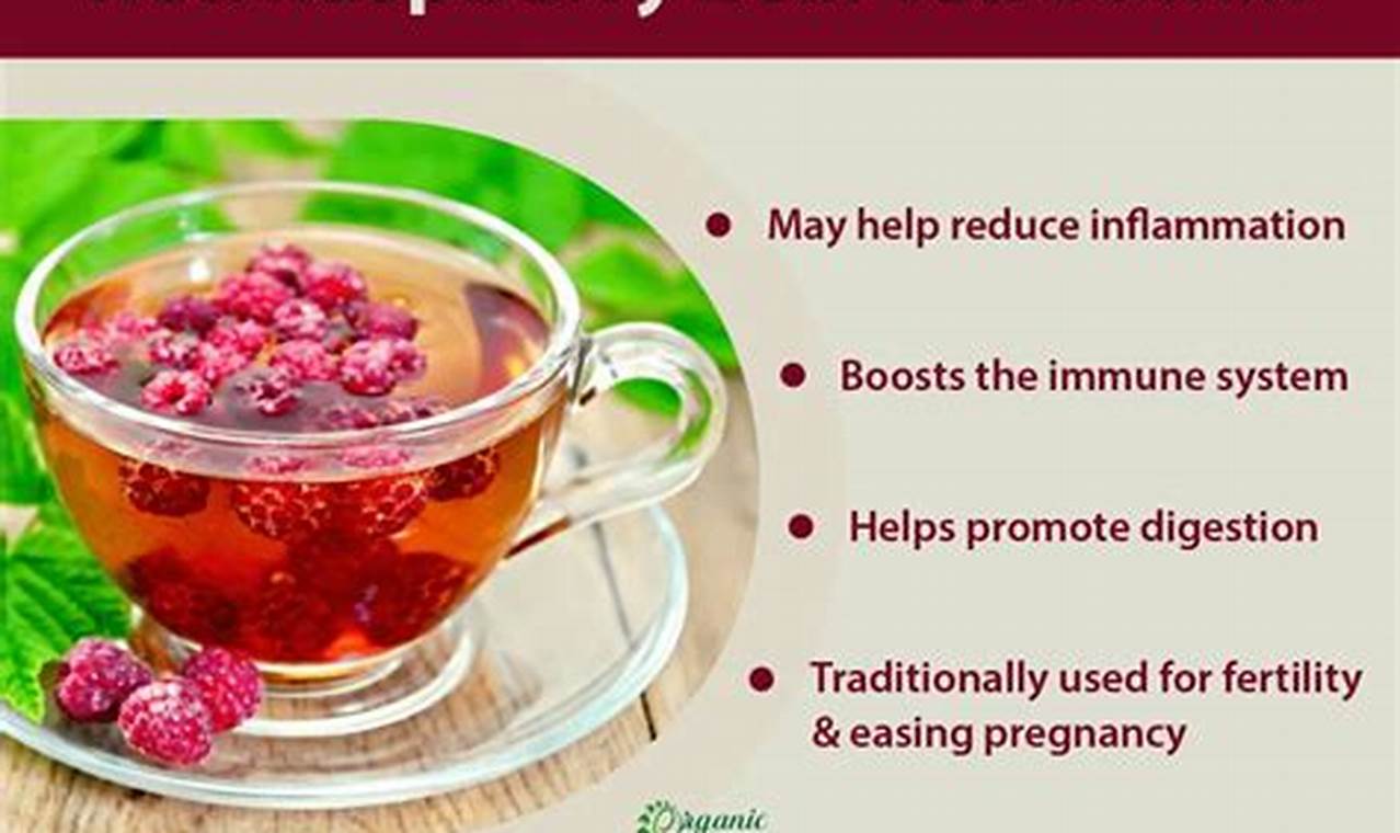 Unlock Raspberry Herbal Tea Benefits: A Guide + More! Safem Fabrication - Precision Engineering & Custom Manufacturing Solutions Unlock Raspberry Herbal Tea Benefits: A Guide + More! | Safem Fabrication - Precision Engineering & Custom Manufacturing Solutions