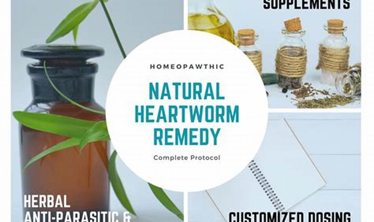 Natural Aid: Herbal Heartworm Treatment Options Guide Safem Fabrication - Precision Engineering & Custom Manufacturing Solutions Natural Aid: Herbal Heartworm Treatment Options Guide | Safem Fabrication - Precision Engineering & Custom Manufacturing Solutions