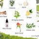 Detox Herbal Cleanse: Your Body's Natural Reset | The Ultimate Herbal Remedies Guide: Natural Healing for a Healthier Life