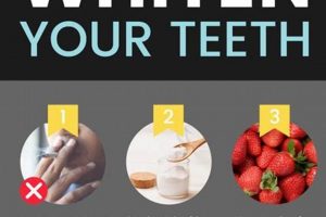 Natural Teeth Whitening Herbal Remedies: A Guide + Tips The Ultimate Herbal Remedies Guide: Natural Healing for a Healthier Life Natural Teeth Whitening Herbal Remedies: A Guide + Tips | The Ultimate Herbal Remedies Guide: Natural Healing for a Healthier Life