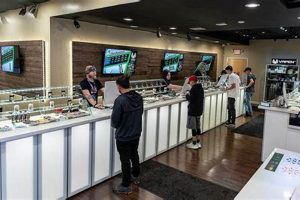 Leafly's Herbal Wellness: Explore Plants & More Safem Fabrication - Precision Engineering & Custom Manufacturing Solutions Leafly's Herbal Wellness: Explore Plants & More | Safem Fabrication - Precision Engineering & Custom Manufacturing Solutions
