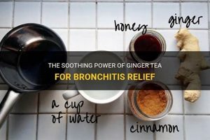 Natural Aid: Herbal Tea for Bronchitis Relief Today! The Ultimate Herbal Remedies Guide: Natural Healing for a Healthier Life Natural Aid: Herbal Tea for Bronchitis Relief Today! | The Ultimate Herbal Remedies Guide: Natural Healing for a Healthier Life