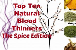 Natural Herbal Blood Thinners: Benefits & Risks Safem Fabrication - Precision Engineering & Custom Manufacturing Solutions Natural Herbal Blood Thinners: Benefits & Risks | Safem Fabrication - Precision Engineering & Custom Manufacturing Solutions