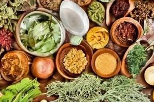 Boost Blends: Herbal Mixing Magic for You Safem Fabrication - Precision Engineering & Custom Manufacturing Solutions Boost Blends: Herbal Mixing Magic for You | Safem Fabrication - Precision Engineering & Custom Manufacturing Solutions