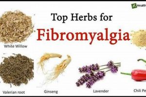 Best Fibromyalgia Herbal Supplements Guide Safem Fabrication - Precision Engineering & Custom Manufacturing Solutions Best Fibromyalgia Herbal Supplements Guide | Safem Fabrication - Precision Engineering & Custom Manufacturing Solutions