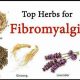 Best Fibromyalgia Herbal Supplements Guide | The Ultimate Herbal Remedies Guide: Natural Healing for a Healthier Life