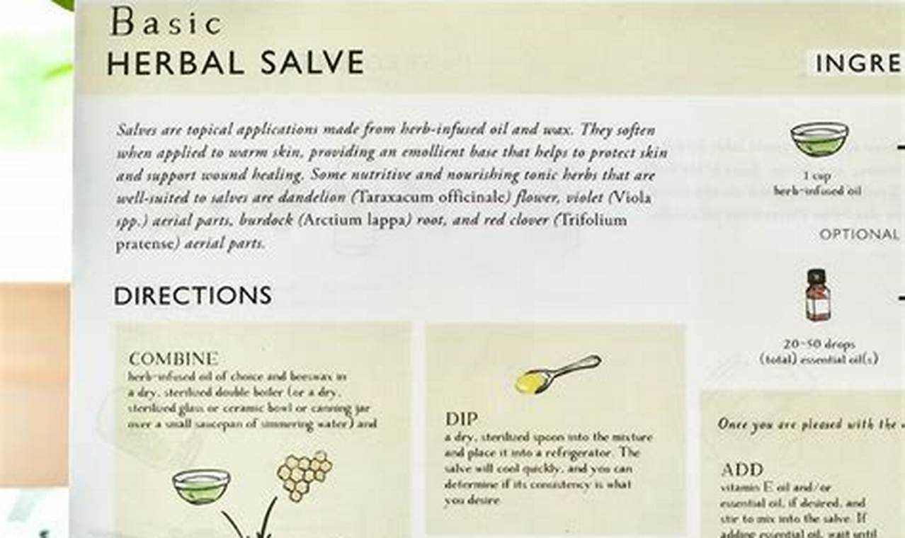 Easy Herbal Recipes: Nature's Remedies & More Safem Fabrication - Precision Engineering & Custom Manufacturing Solutions Easy Herbal Recipes: Nature's Remedies & More | Safem Fabrication - Precision Engineering & Custom Manufacturing Solutions
