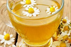 Best Herbal Tea for GERD Relief: Natural Soothers The Ultimate Herbal Remedies Guide: Natural Healing for a Healthier Life Best Herbal Tea for GERD Relief: Natural Soothers | The Ultimate Herbal Remedies Guide: Natural Healing for a Healthier Life