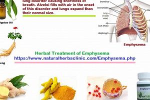 Natural Herbal Cure for Emphysema: Relief Guide The Ultimate Herbal Remedies Guide: Natural Healing for a Healthier Life Natural Herbal Cure for Emphysema: Relief Guide | The Ultimate Herbal Remedies Guide: Natural Healing for a Healthier Life