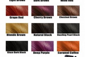 Natural Hair Color Herbal: Dye Your Hair the Herbal Way Safem Fabrication - Precision Engineering & Custom Manufacturing Solutions Natural Hair Color Herbal: Dye Your Hair the Herbal Way | Safem Fabrication - Precision Engineering & Custom Manufacturing Solutions