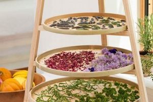 Best Herbal Drying Rack [Easy Herb Drying!] | The Ultimate Herbal Remedies Guide: Natural Healing for a Healthier Life