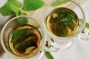 DIY: How to Make Herbal Drinks & Boost Your Health The Ultimate Herbal Remedies Guide: Natural Healing for a Healthier Life DIY: How to Make Herbal Drinks & Boost Your Health | The Ultimate Herbal Remedies Guide: Natural Healing for a Healthier Life