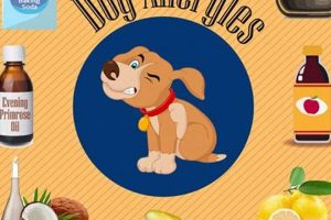 Natural Herbal Remedies for Dog Allergies: A Guide The Ultimate Herbal Remedies Guide: Natural Healing for a Healthier Life Natural Herbal Remedies for Dog Allergies: A Guide | The Ultimate Herbal Remedies Guide: Natural Healing for a Healthier Life
