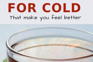 Top Best Herbal Tea for Cold Relief: Natural Soothers The Ultimate Herbal Remedies Guide: Natural Healing for a Healthier Life Top Best Herbal Tea for Cold Relief: Natural Soothers | The Ultimate Herbal Remedies Guide: Natural Healing for a Healthier Life