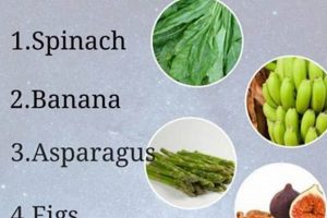 Unlock Herbal Steroids: Benefits & Risks Decoded Safem Fabrication - Precision Engineering & Custom Manufacturing Solutions Unlock Herbal Steroids: Benefits & Risks Decoded | Safem Fabrication - Precision Engineering & Custom Manufacturing Solutions