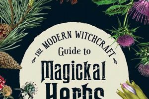 Best Witchcraft Herbalism Books: A Beginner's Guide Safem Fabrication - Precision Engineering & Custom Manufacturing Solutions Best Witchcraft Herbalism Books: A Beginner's Guide | Safem Fabrication - Precision Engineering & Custom Manufacturing Solutions