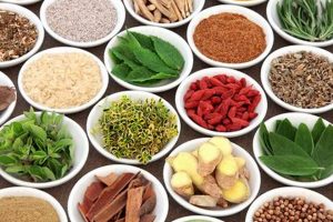 Boost Libido: Herbal Aphrodisiac Power + Benefits The Ultimate Herbal Remedies Guide: Natural Healing for a Healthier Life Boost Libido: Herbal Aphrodisiac Power + Benefits | The Ultimate Herbal Remedies Guide: Natural Healing for a Healthier Life