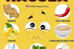 Top Herbal Remedy for Nausea: Quick Relief + Tips The Ultimate Herbal Remedies Guide: Natural Healing for a Healthier Life Top Herbal Remedy for Nausea: Quick Relief + Tips | The Ultimate Herbal Remedies Guide: Natural Healing for a Healthier Life